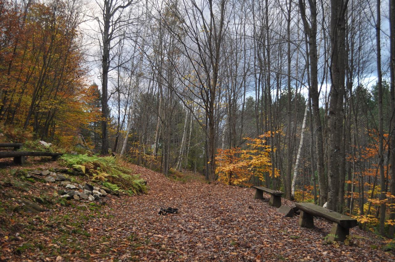 The Woods Lodge Northfield Eksteriør billede